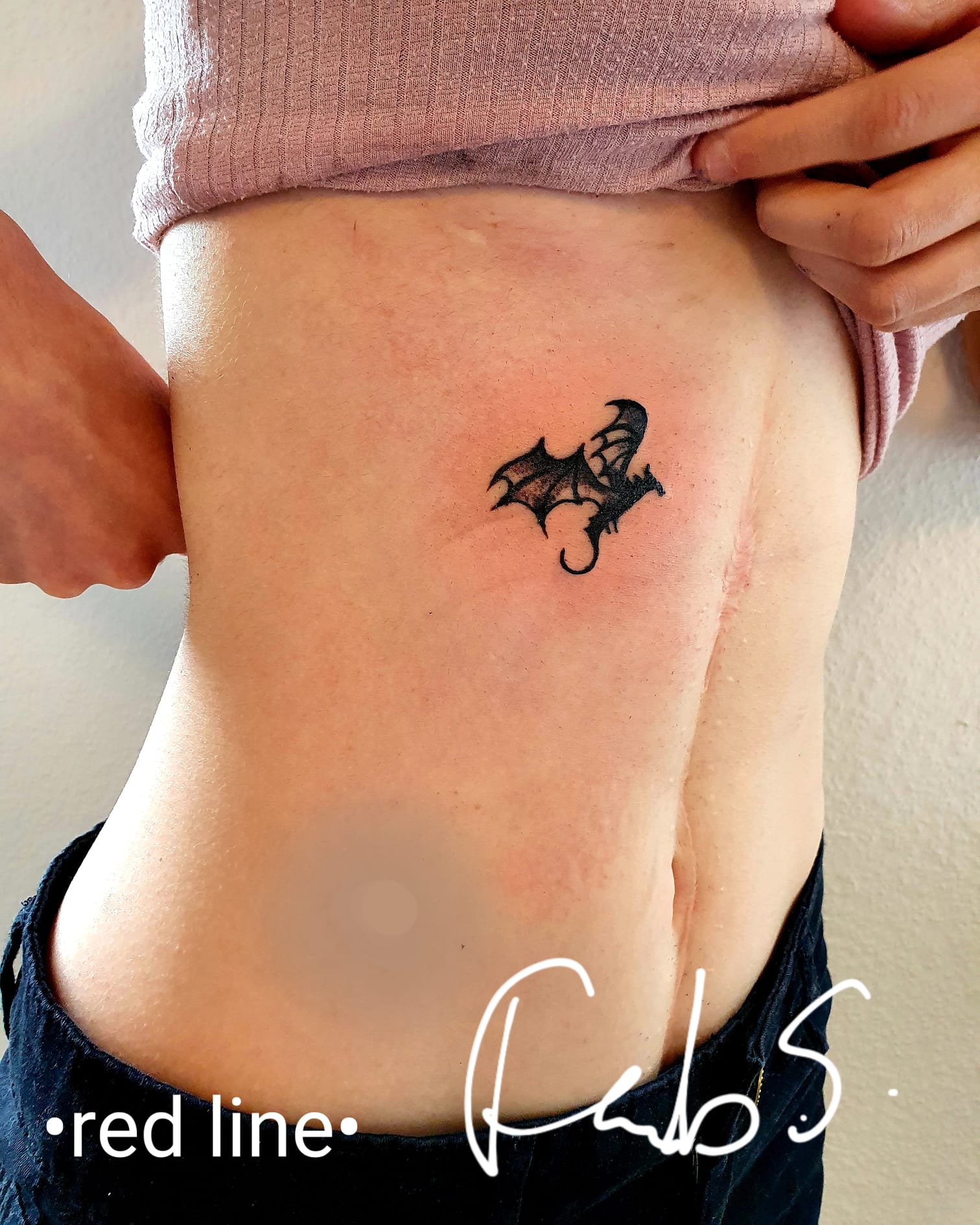 Wiser Airbrush Tattoo Pegasus |Facepaintshop